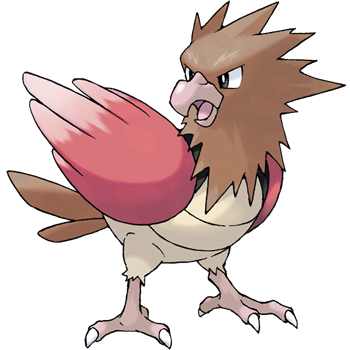 Spearow