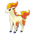 Ponyta