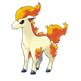 Ponyta