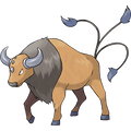 Tauros