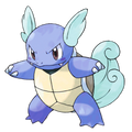 Wartortle