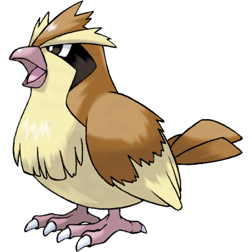 Pidgey