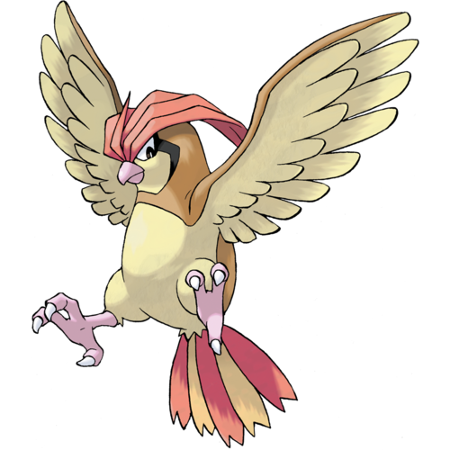 Pidgeotto