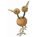 Doduo
