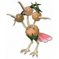 Dodrio
