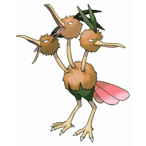 Dodrio